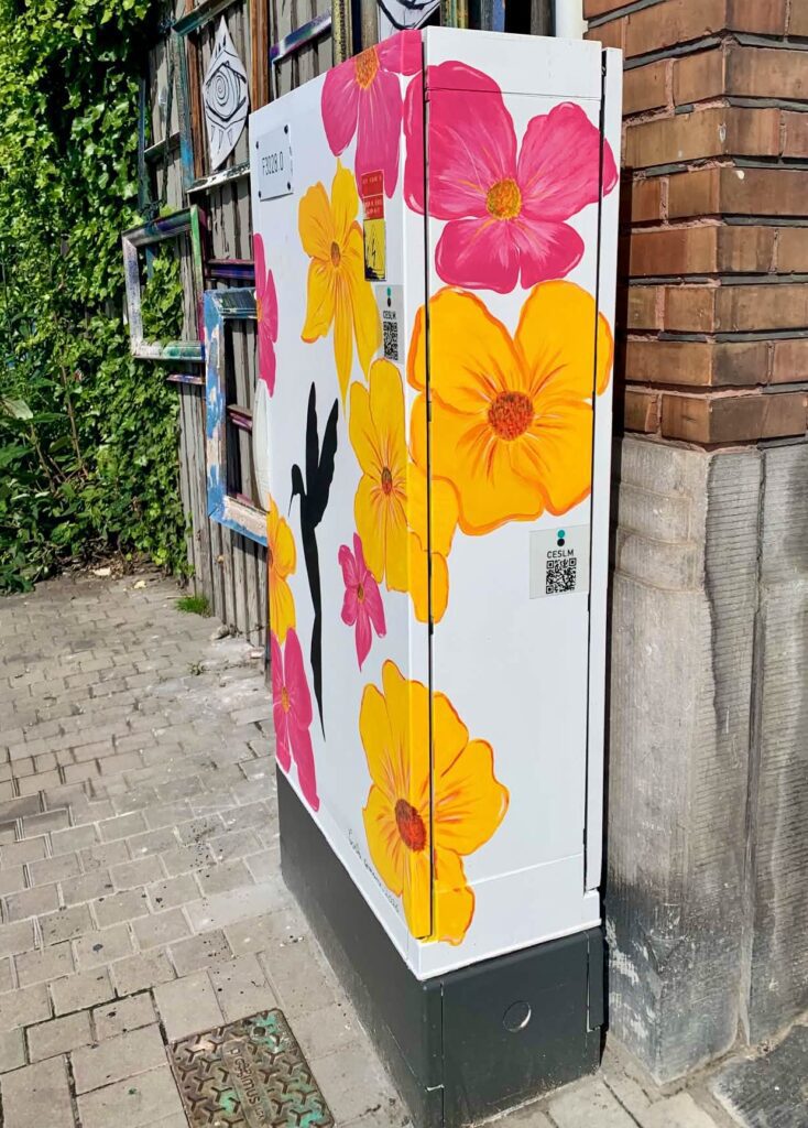 Photo de Amandine Rikar — Borne à 38 Quai Saint-Léonard