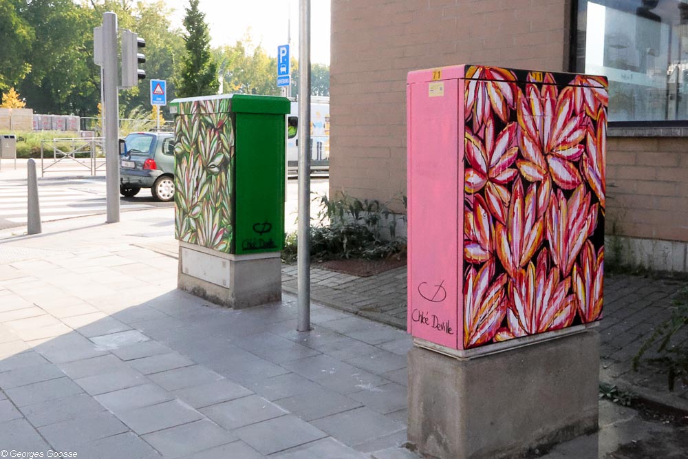 Photo de Marie Ghislaine — Borne à  Quai de Coronmeuse